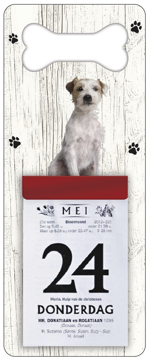 Scheurkalender 2026 Hond: Jack Russel Ruwharig