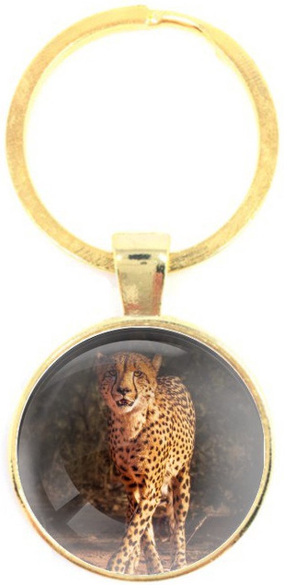 Sleutelhanger Glas - Luipaard