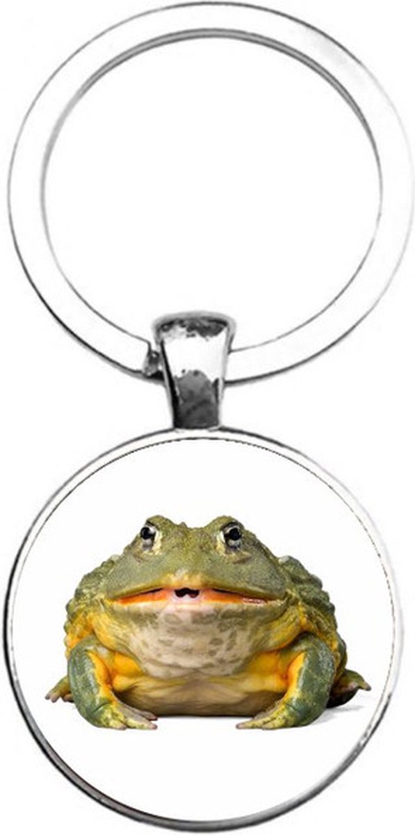 Sleutelhanger Glas - Kikker