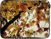 Housse pour ordinateur portable 15,6 pouces - Arbres - Feuilles d'automne - Nature - Housse pour ordinateur portable - Dimensions intérieures 39,5x29,5 cm