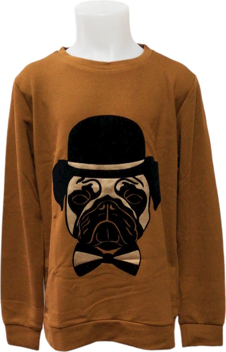 THE NEW Boys Sweater Pug