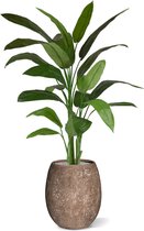 Heleconia kunstplant 170cm - groen