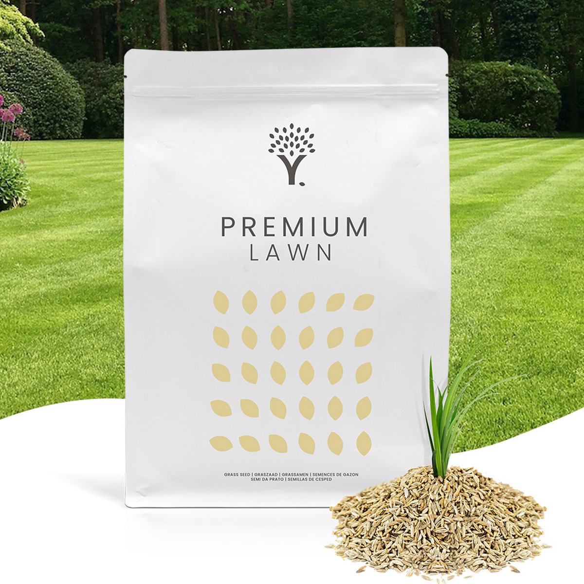 MOOWY Sier Graszaad voor 100m² Gazon - Premium Lawn Kwaliteit Gras voor een Engels Siergazon