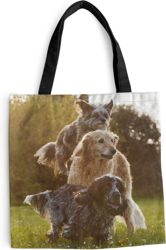 schoudertas-strandtas-shopper-honden-park-zon-45x45-cm