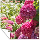 Tuinposters Een tuin vol met roze en witte hortensia's - 50x50 cm - Tuindoek - Buitenposter