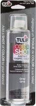 Tulip ColorShot spray de couleur instantanée pour tissus Gris