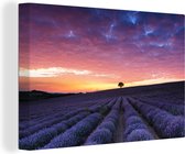 Nuages violets près d'un champ de lavande sur toile 30x20 cm - petit - Tirage photo sur toile (Décoration murale salon / chambre) / Peintures Fleurs sur toile