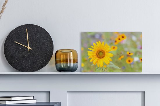 Toile de tournesol 30x20 cm - petit - Tirage photo sur toile (Décoration murale salon / chambre) / Peintures Fleurs sur toile