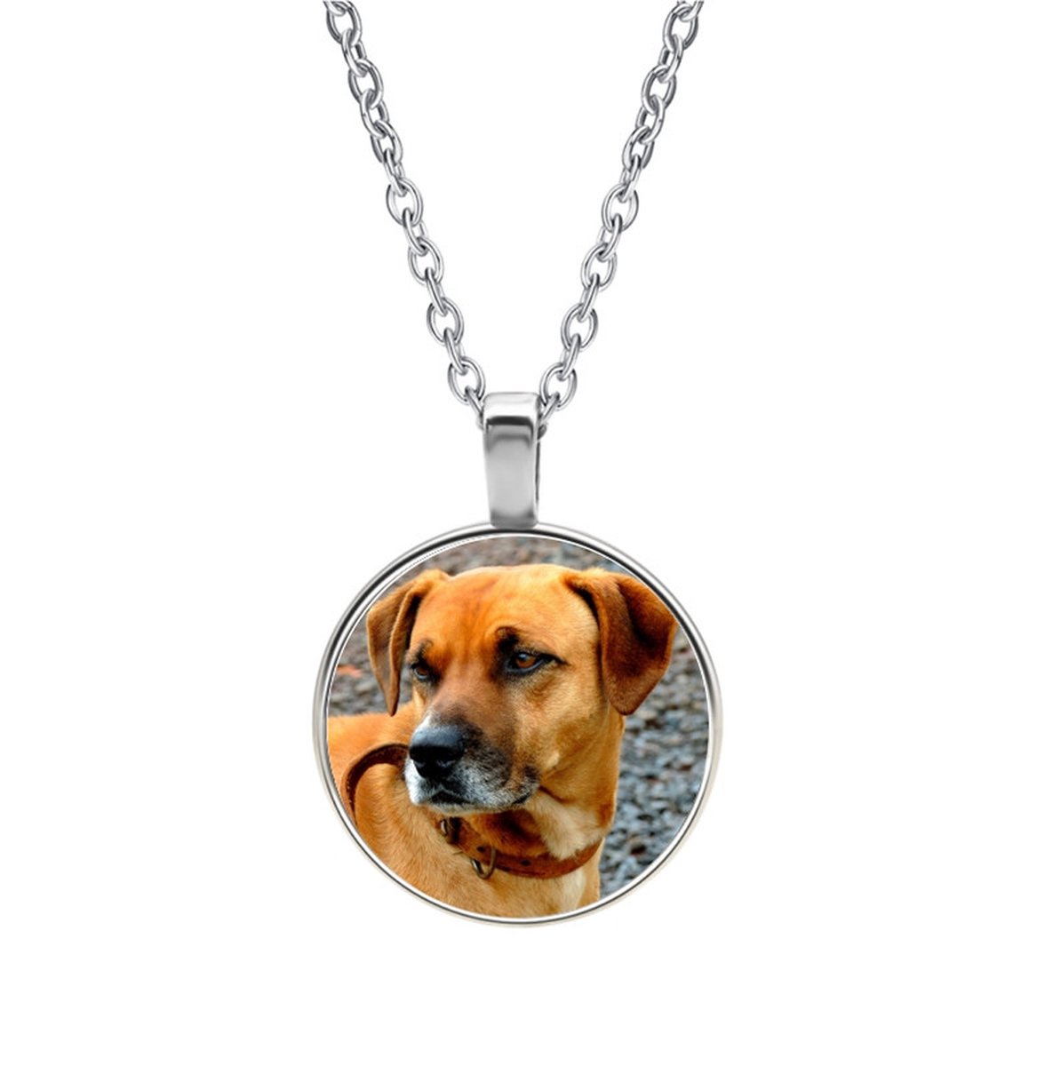 Ketting Glas - Hond