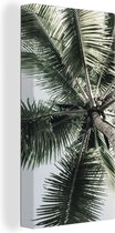 Canvas Schilderij Palmboom - Tropical - Zomer - 40x80 cm - Wanddecoratie