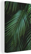 Canvas Schilderij Palmbladeren - Palmen - Tropical - 40x60 cm - Wanddecoratie