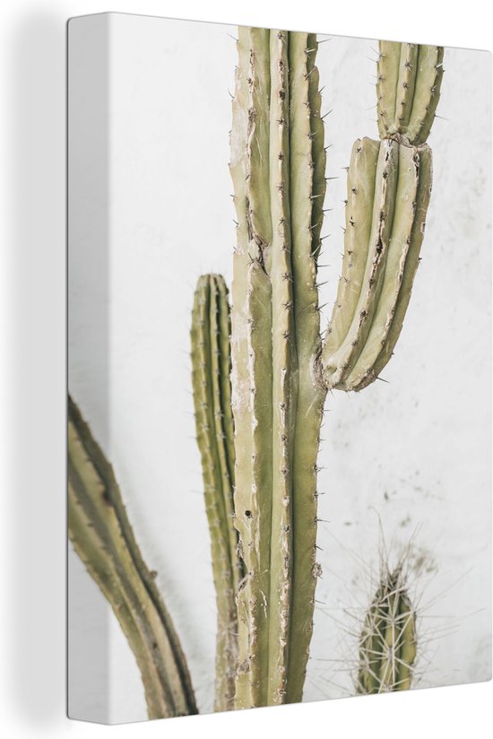 Tableau sur toile Cactus - Été - Plantes - 90x120 cm - Décoration murale