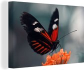 Canvas Schilderij Vlinder - Bloemen - Insect - 30x20 cm - Wanddecoratie