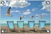 Tuinposter –Meeuwen boven Strandstoelen– 120x80 Foto op Tuinposter (wanddecoratie voor buiten en binnen)