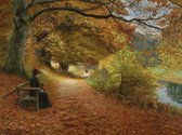 Brendekilde   Bospad in de herfst (1000 stukjes, kunst puzzel)