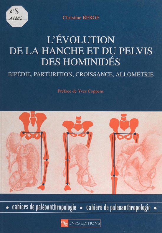 L'évolution de la hanche et du pelvis des hominidés - cover