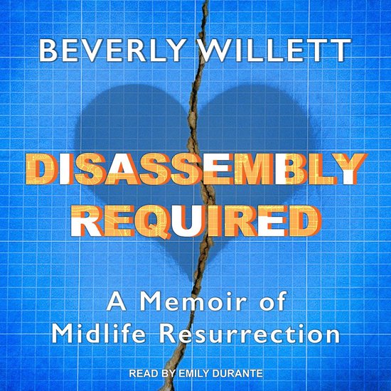 Disassembly Required - cover