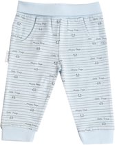 Frogs and Dogs | Pants Streepjes | Blauw | Maat 68