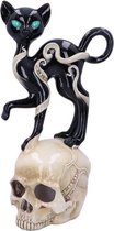 Nemesis Now Beeld/figuur Feline Fate Multicolours