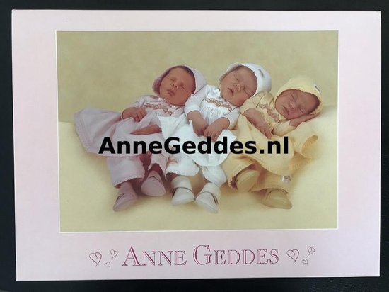 Anne Geddes - 57970 – puzzel / puzzle / legpuzzel – Schmidt – Zoete sluimer  – 1000 stukjes | bol.com
