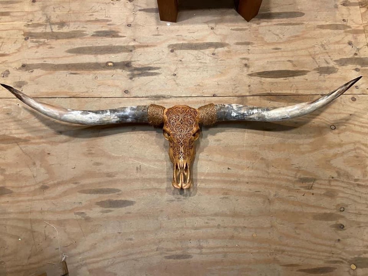 Longhoorn skull gegraveerd echt - Cognac - Bali - Premium - 160 cm