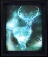 HARRY POTTER 3D Lenticular Poster 26X20 - Expecto Patronum Lensvormige poster