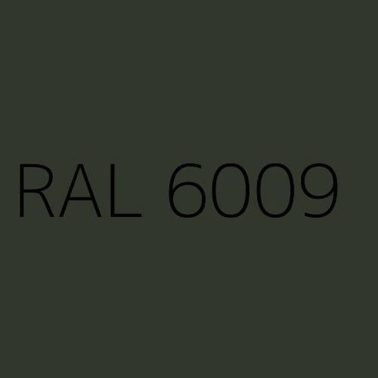 Rayant muurverf Extra Mat Voor buiten en binnen - 5 liter - Kleur  Dennengroen (RAL 6009) | bol.com