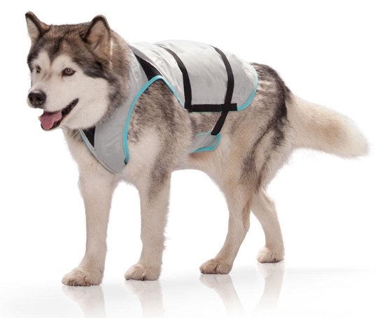 Lotsbestemming Telegraaf cruise Suitical dry cooling vest hond zilver s 35-60x55-70 cm | bol.com