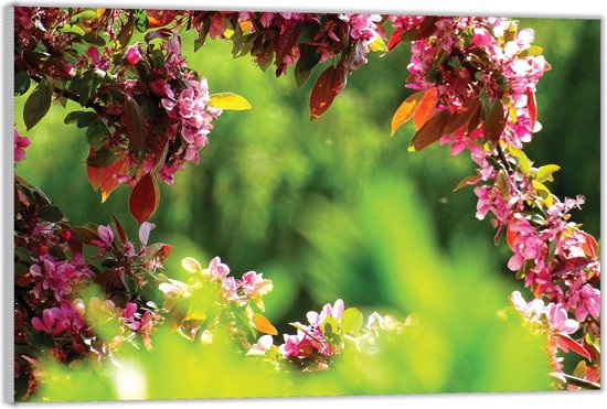 Acrylglas –Tak met Roze Bloemen -60x40 (Met ophang)