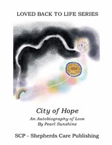 Omslag The City of Hope