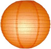 Lampion oranje 75 cm