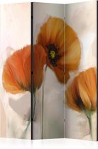 Kamerscherm - Scheidingswand - Vouwscherm - poppies - vintage [Room Dividers] 135x172 - Artgeist Vouwscherm