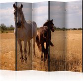 Kamerscherm - Scheidingswand - Vouwscherm - Horse and foal II [Room Dividers] 225x172 - Artgeist Vouwscherm