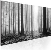 Schilderijen Op Canvas - Schilderij - Black and White Forest 150x50 - Artgeist Schilderij