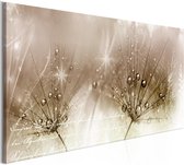 Schilderijen Op Canvas - Schilderij - Drops of Dew (1 Part) Brown Wide 100x45 - Artgeist Schilderij