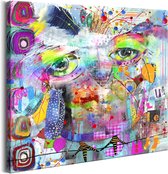 Schilderijen Op Canvas - Schilderij - Colourful Owl 40x40 - Artgeist Schilderij
