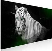 Schilderijen Op Canvas - Schilderij - Shining Tiger (1 Part) Green Narrow 120x40 - Artgeist Schilderij