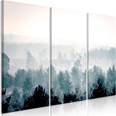 Schilderijen Op Canvas - Schilderij - Winter Forest (3 Parts) 120x80 - Artgeist Schilderij