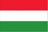 Vlag Hongarije 50x75cm