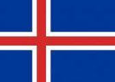 vlag IJsland 30x45cm