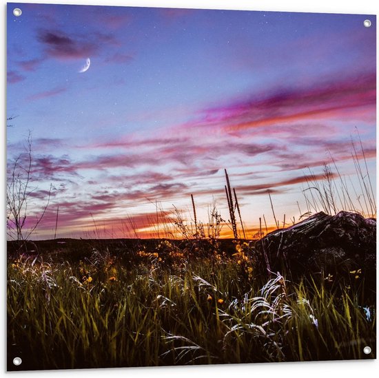 Tuinposter – Grasveld in de Nacht - 100x100cm Foto op Tuinposter  (wanddecoratie voor buiten en binnen)