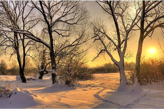 Aluminium Schilderij Winterse Zonsondergang