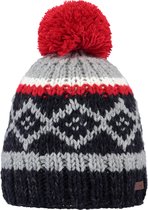 Barts Issak Beanie - heren mutsen - navy