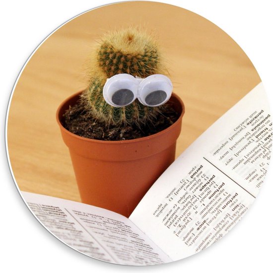 Forex Wandcirkel - Lezende Cactus - 30x30cm Foto op Wandcirkel (met ophangsysteem)