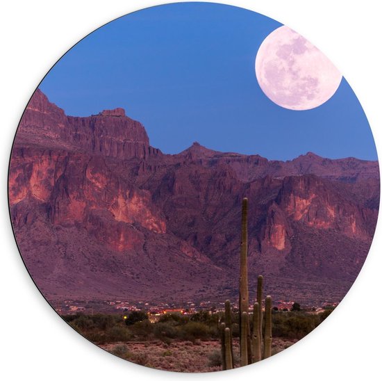 Dibond Wandcirkel - Volle Maan in Nationaal Bos in Arizona - Amerika - 60x60cm Foto op Aluminium Wandcirkel (met ophangsysteem)