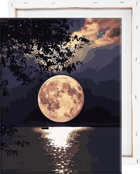 Schilderen Nummer Volwassenen - Volle maan Met Frame - 40x50cm | bol.com