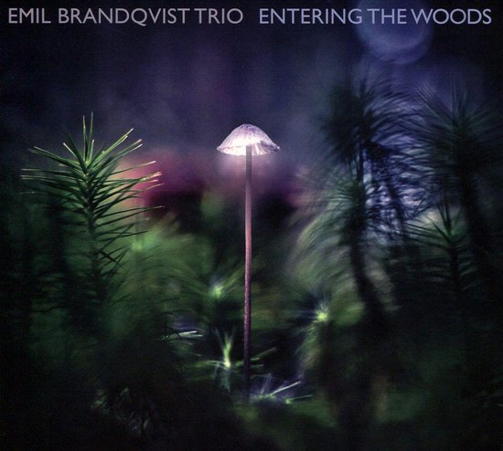 Emil Brandqvist - Entering The Woods