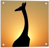 Tuinposter – Silhouette Giraffe - 50x50cm Foto op Tuinposter  (wanddecoratie voor buiten en binnen)