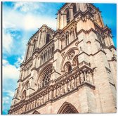 Dibond - Notre-Dame van Parijs - Frankrijk - 50x50cm Foto op Aluminium (Wanddecoratie van metaal)