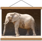 Schoolplaat – Lichte Olifant - 40x30cm Foto op Textielposter (Wanddecoratie op Schoolplaat)